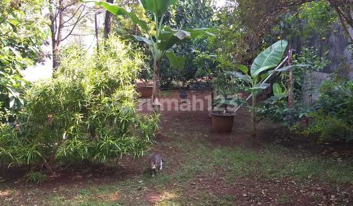 Dijual Tanah Kotak Lokasi Puter Bintaro