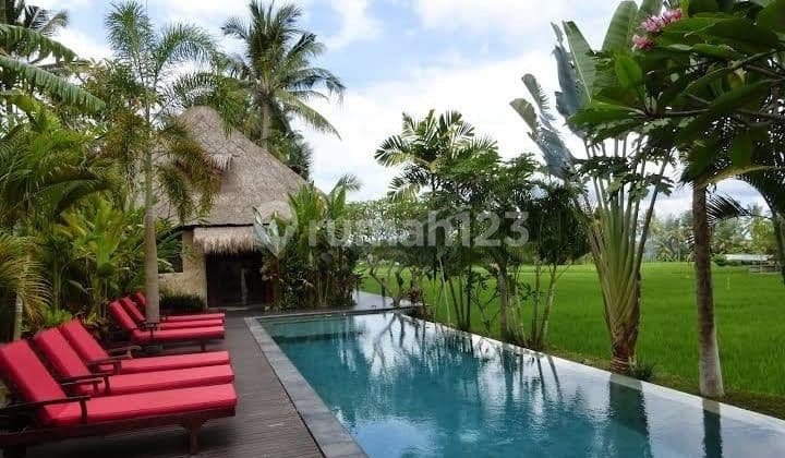 Boutique Villa Complex For Sale With Gorgeous View Of The Rice Fields In Lodtunduh Ubud, Bali