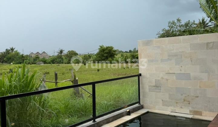 Rice Field View Villa For Sale In Cepaka Munggu / Close To Tumbak Bayuh / Prerenan / Canggu
