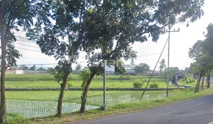 Dijual Tanah Premium Dan Strategis Di Pinggir Jalan Nasional Banyuwangi - Kember
