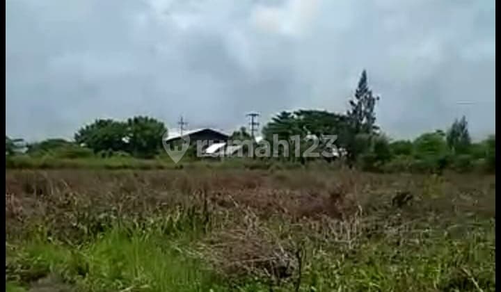Land for Sale with SHM Certificate, Industrial Zone Tuban Area, Widang.
