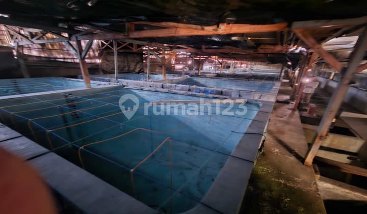 Disewakan Gudang Pabrik Industri Benih Udang Situbondo