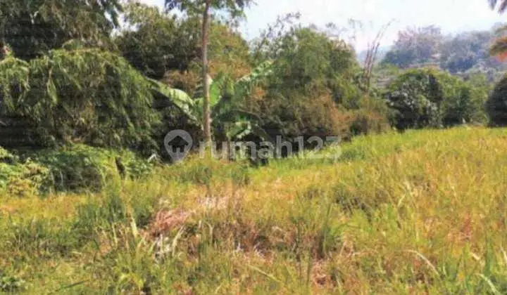Jual Lelang Kavling Luas Murah Di Jalan Raya Lembang Bandung