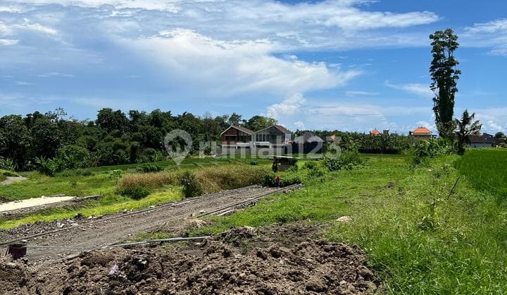 For Sale Land/jual Tanah Murah Strategis Di Belalang Tabanan Bali