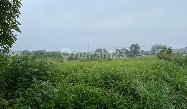 Tanah Persegi Shm 5000 M2 Di Cisauk Bsd Tangerang