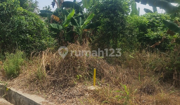 Tanah Kedamaian Indah