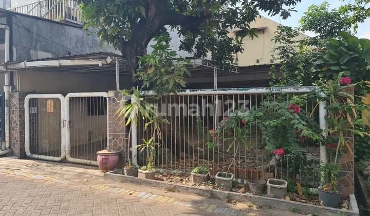 Rumah Murah Kutisari Cocok Usaha Kos atau Gudang Dekat Siwalankerto