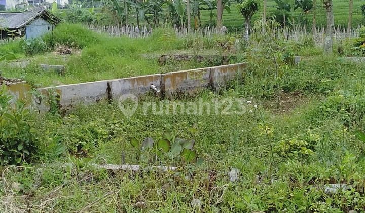Di jual tanah beberapa tanah kosong cocok untuk bikin rumah tunggal lokasi di Kamp puncak mulia Ciwidey Bandung