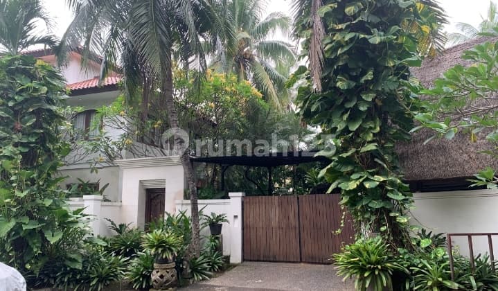 Rumah Premium, Istana Ratu Bali, Bebas Polusi Udara dan Suara, SHM, Dekat Pasar, - Malls, -Sekolah, -Toll Gate, -Stasiun KRL; di Cbd Bintaro Sektor 8, Tangerang Selatan.