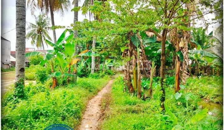 Kavling Cocok Unt Town House Di Sako Palembang Lokasi Strategis