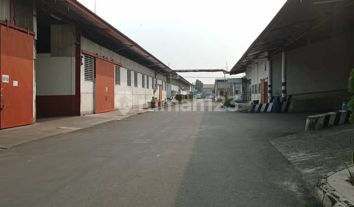 Gudang Sewa Cimanggis C4 Lb : 2.310 M2 Depok Siap Pakai