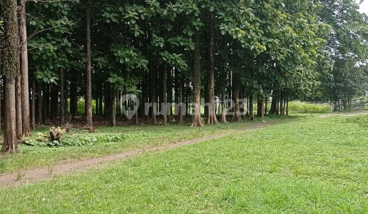 Dijual Lahan Lt 26.343 M2 Sentul City Lokasi Strategis
