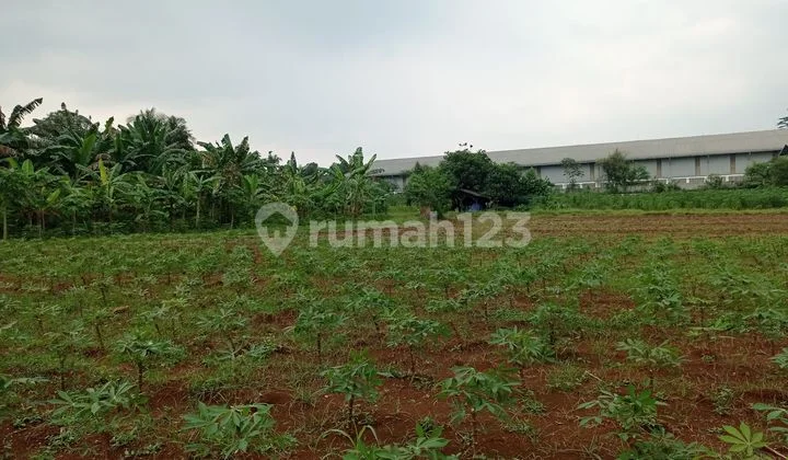 Tanah Kebun Strategis di Pusat Kota Cibinong Kab.Bogor