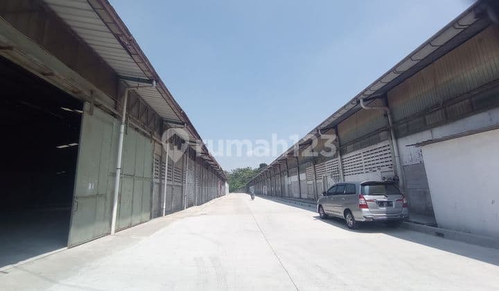 Gudang Sewa Citereup Lb.9.696 M2 Di Dekat Tol Jagorawi Bogor