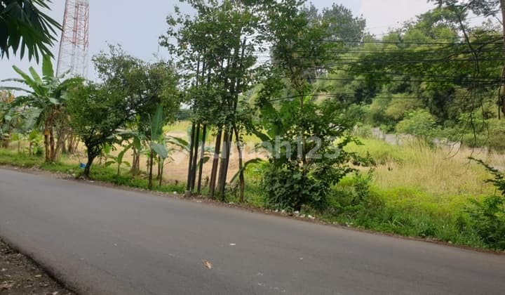 Kavling Sewa 2.971 M2 Sentul City Cocok Cafe & Resto