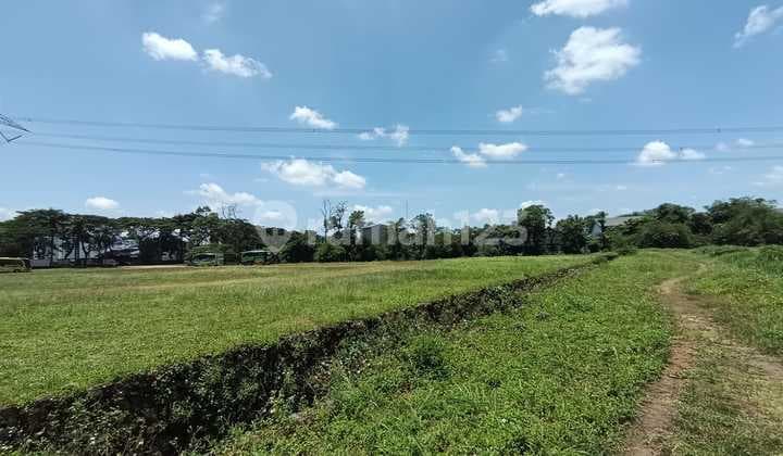Dijual Tanah Area Sentul Bogor Jawa Barat
