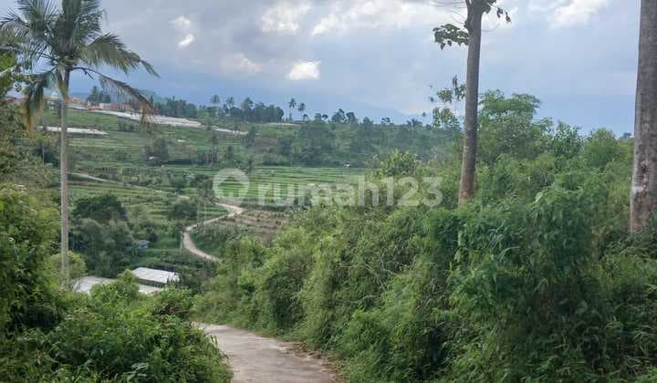 tanah di cianjur jl mariwati sukaresmi,tasya,tony