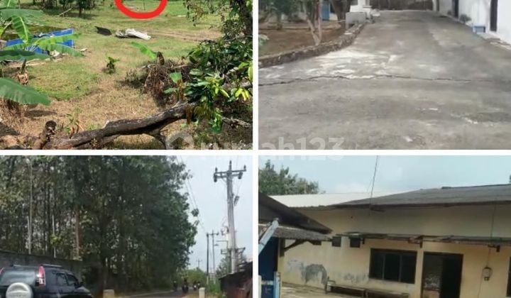 tanah di semanu yogyakarta,tasya,fifi