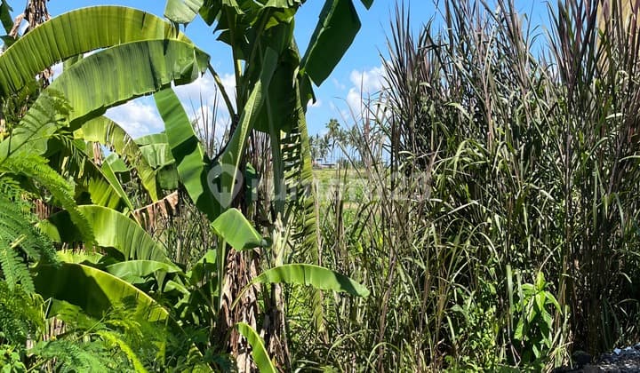 For Sale Small Nice Land In Batu Bulan