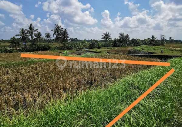 Dijual Tanah sawah dekat ubud