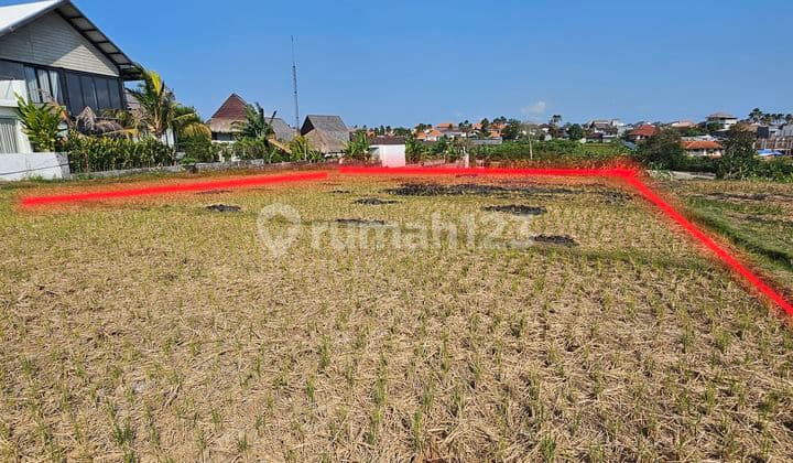 Disewakan Tanah Kosong Di Area Pariwisata Dekat Eco Beach