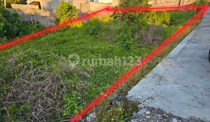 Land for rent near lima beach pererenan