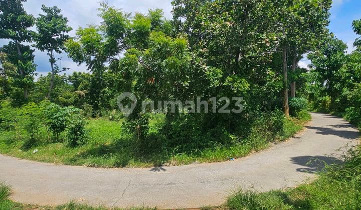 Sea View Suitable for Villas and Plantations