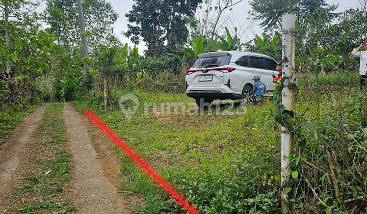 Tanah Kebun Kopi dan Durian