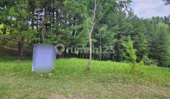 Tanah Hoek di Bukit Golf Hijau Sentul Bogor