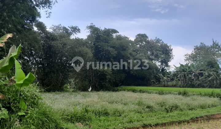 Residential Zone Shm Land In Perungseah, Sukabumi, West Java
