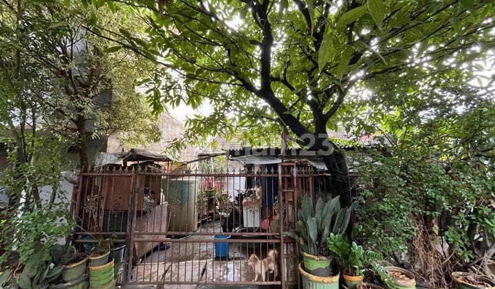 Rumah Jual Cepat Di Karang Tengah Permai Tangerang