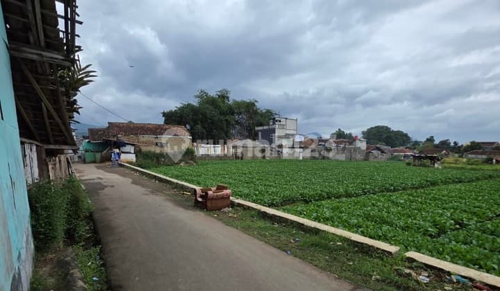 For Sale Tanah Sawah di Desa Cangkuang, Soreang
