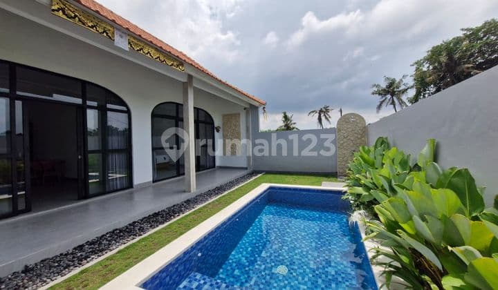 For Rent Brand New Villa In Munggu, Mengwi