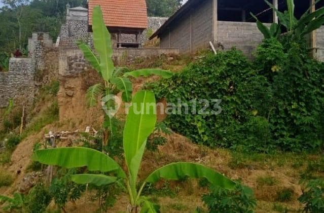 Dijual tanah Luas 6.5 Hektar di Sukasada, Buleleng Bali - Ideal untuk Pariwisata dan Bisnis