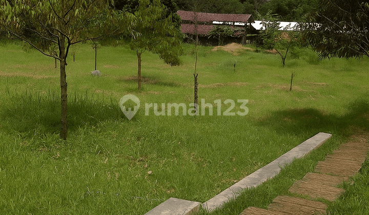 Dijual Cepat Rumah Luas Murah di Pasir Luhur Bandung