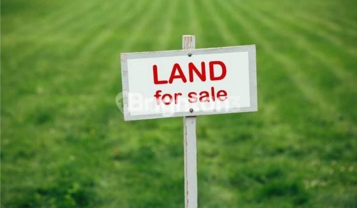 Calculate Commercial Land Area Calculate Commercial Land Area