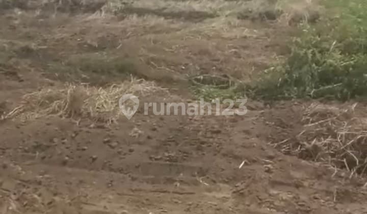 Tanah Dijual di Kejayan Purwosari Pasuruan Gmk02404