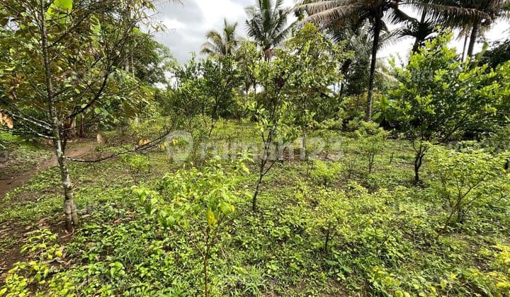 Tanah Strategis 5179 M2 Dusun Losari Wagir Malang Gmk03813