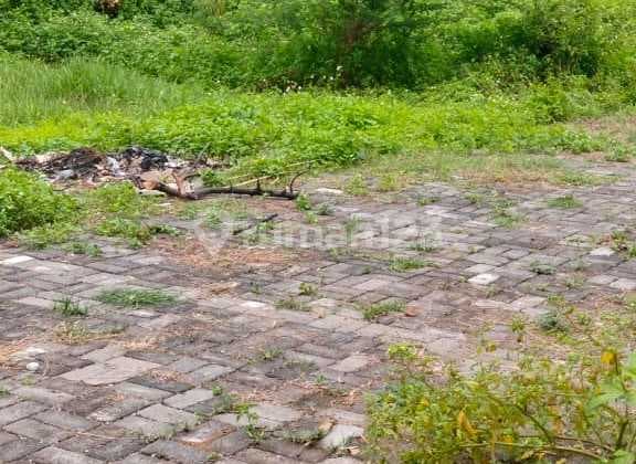 Di Jual Tanah Premium di Kedungmundu Dekat Unimus