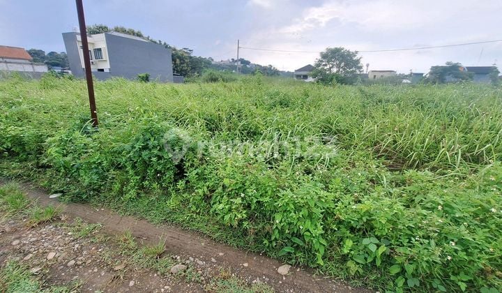 Di Jual Tanah Premium Murah Sendangmulyo Dekat Unimus