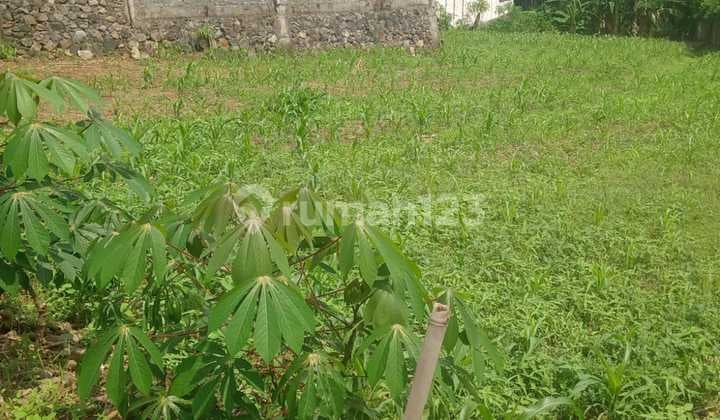 Di Jual Tanah Premium Di Sendangmulyo Dekat Unimus