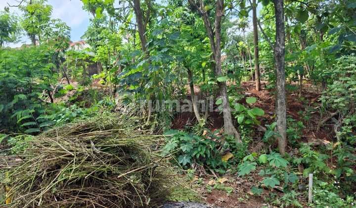 Premium Land for Sale in Tembalang, Near Undip
