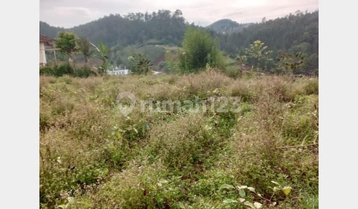 Tanah Eksklusif di Dago, Langka! Dekat Taman Hutan Raya Bandung