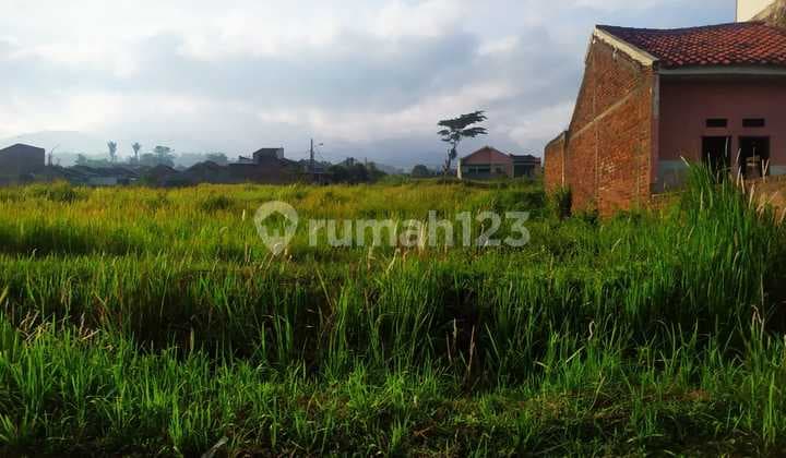Dijual Tanah Strategis di Omah Garut – Lokasi Nyaman dekat Kota Garut