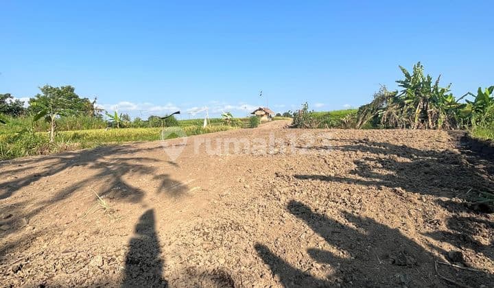 Tanah Siap Bangun Buc Hanya 200 Meter Dari Pantai Kedungu