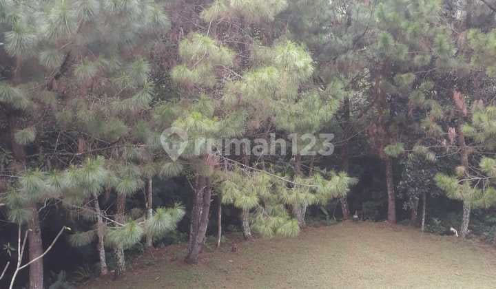 Rumah Cantik Dago Pakar Siap Pakai & Disewakan.