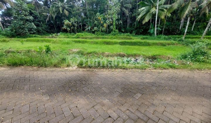 Dijual Cepat Tanah Pinggir Jalan Paving di Kawasan Villa Arah Ijen Resort