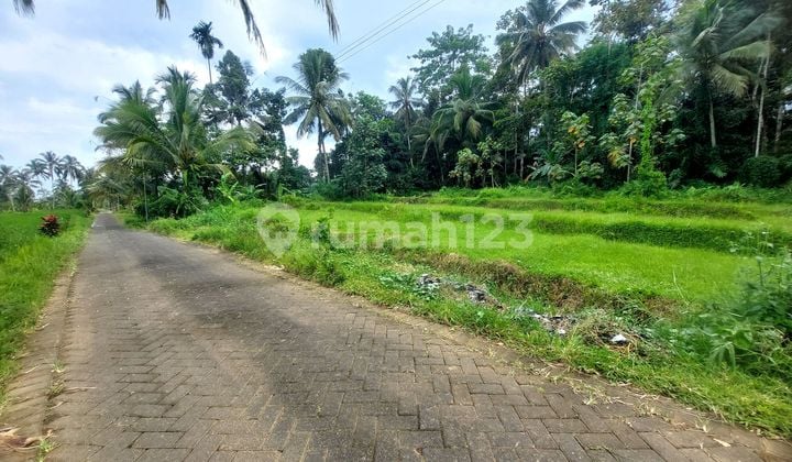 Dujual Murah Tanah Pinggir Jalan Paving di Kawasan Villla Dekat Ijen Resort