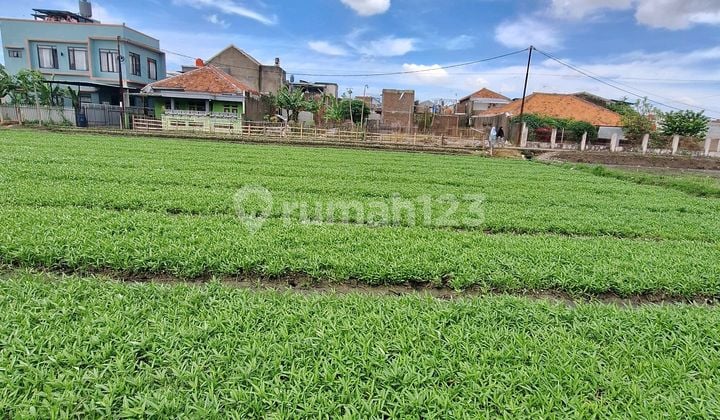 Tanah Matang Margahayu Margasari Cocok Untuk Cluster Perumahan
