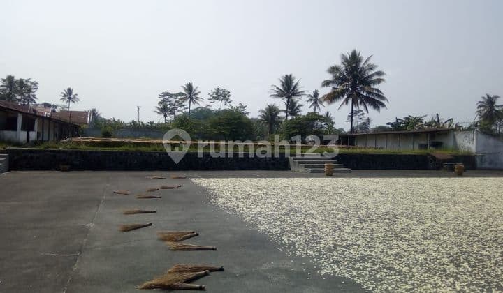 Jual Tanah SHM Strategis Luas Di Magelang